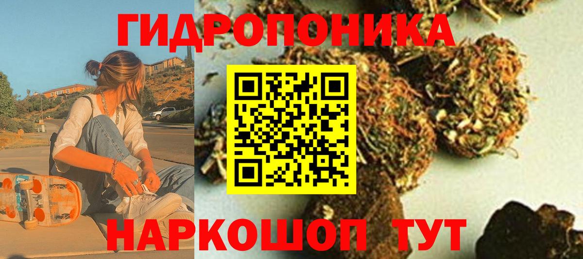 Конопля Amnesia Мариинск